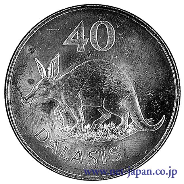 表：ツチブタ40ダラシ銀貨